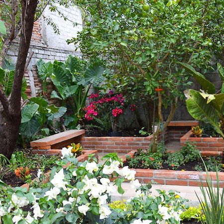 Capital O Casa Rotter Hotel ซานกริสโตบัล เด ลาสกาซาส ภายนอก รูปภาพ